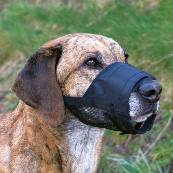 TRIXIE Nylon Maulkorb mit Netz 5