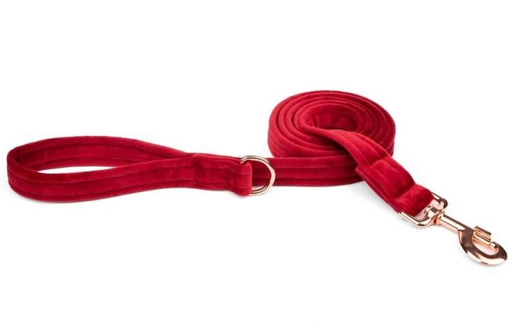 ESME FOR DOG Velours Kirsche Hundeleine 150cm/2cm