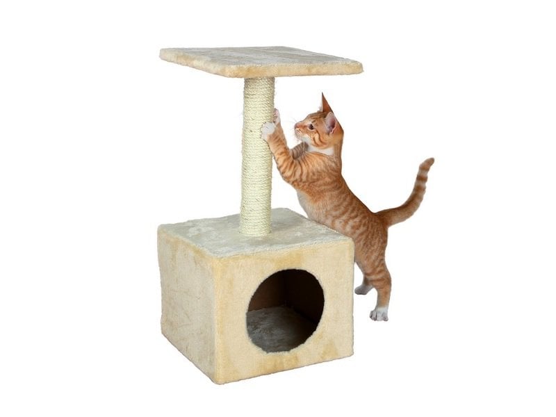 TRIXIE Kratzbaum Zamora 61cm, beige