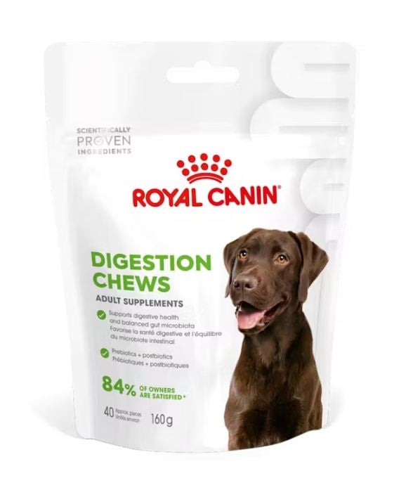 ROYAL CANIN Digestion Adult Dog Supplements 160g Nahrungsergänzungsmittel für die Verdauung von erwachsenen Hunden
