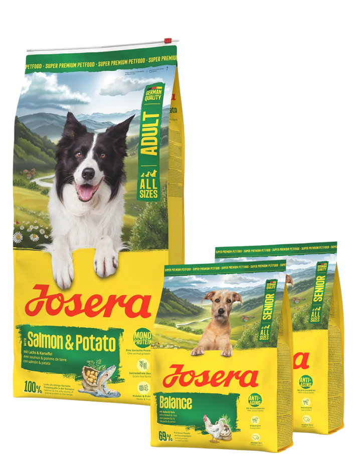 JOSERA Salmon and Potato Adult getreidefreies Futter für Hunde mit empfindlichem Magen 12,5kg + 2x900g GRATIS
