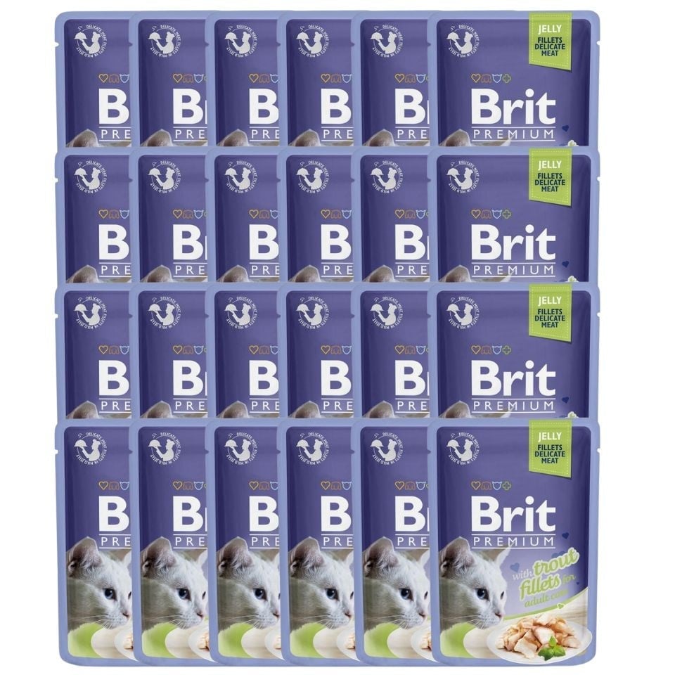 BRIT Premium Cat Fillets in Jelly Nassfutter mit Forelle für Katzen 24x85g