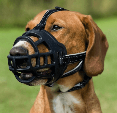 TRIXIE Maulkorb Muzzle Flex M