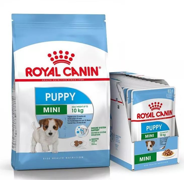 ROYAL CANIN MINI Puppy Welpenfutter trocken für kleine Hunde 8 kg + Mini Puppy 12x85 g