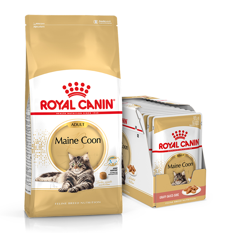 ROYAL CANIN Maine Coon Adult Katzenfutter trocken 10 kg + Maine Coon Adult nass 12 x 85 g