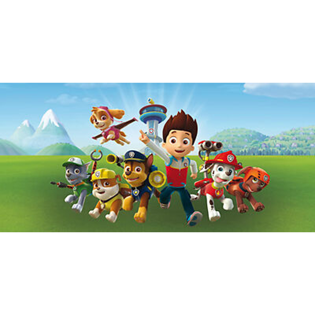 Keilrahmenbild Paw Patrol B/L: ca. 70x33 cm