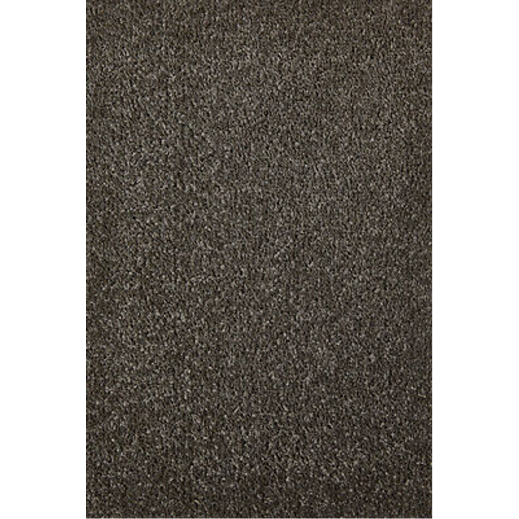 Teppichboden Sara braungrau B/L: ca. 200x400 cm pro Stück