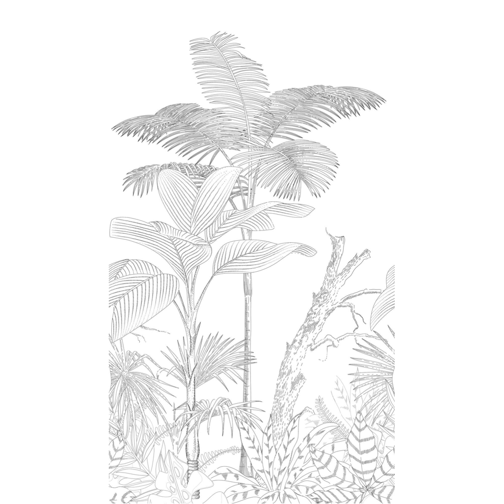 Livingwalls Fototapete Palmen weiß schwarz B/L: ca. 280x159 cm