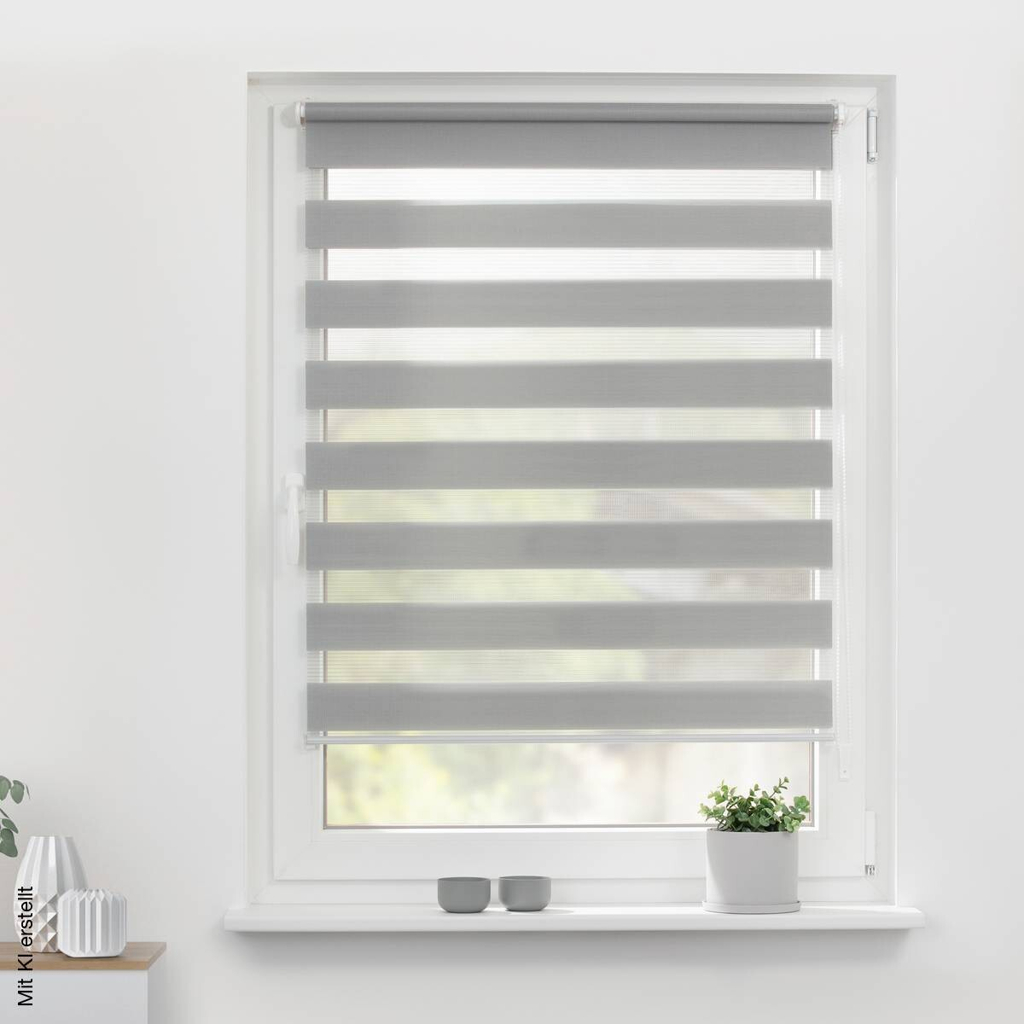 LICHTBLICK Doppelrollo Duo grau B/L: ca. 55x150 cm