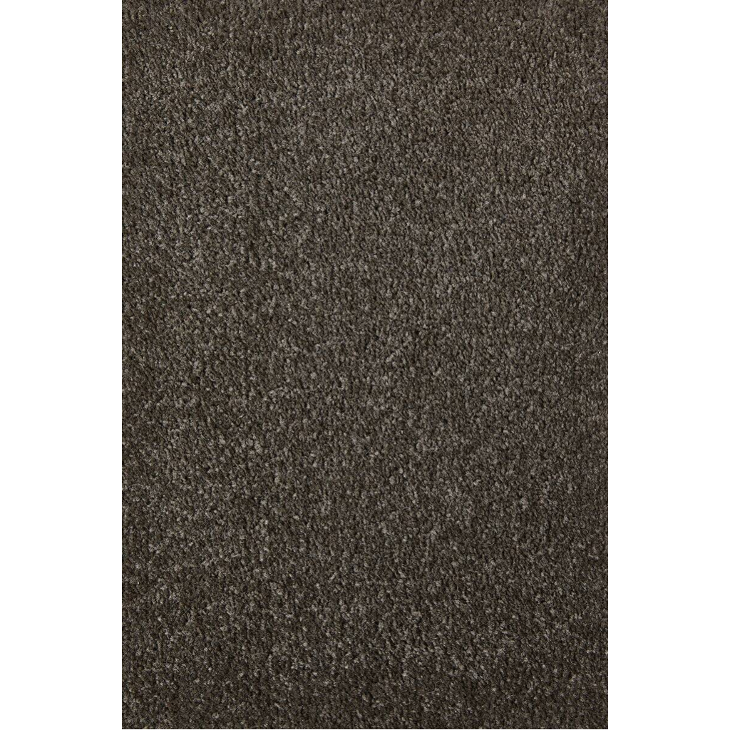 Teppichboden Sara braungrau B/L: ca. 200x400 cm pro Stück