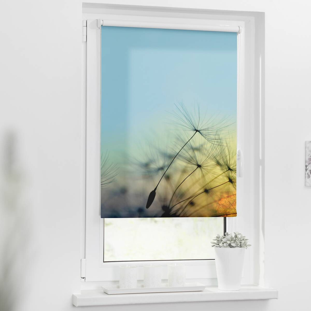 LICHTBLICK Verdunkelungsrollo Pusteblume blau B/L: ca. 90x150 cm