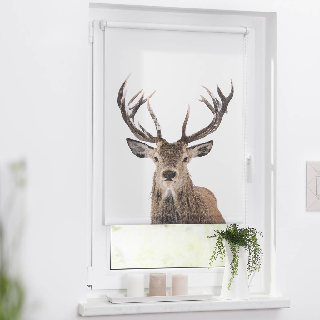LICHTBLICK Rollo Hirsch braun B/L: ca. 60x150 cm
