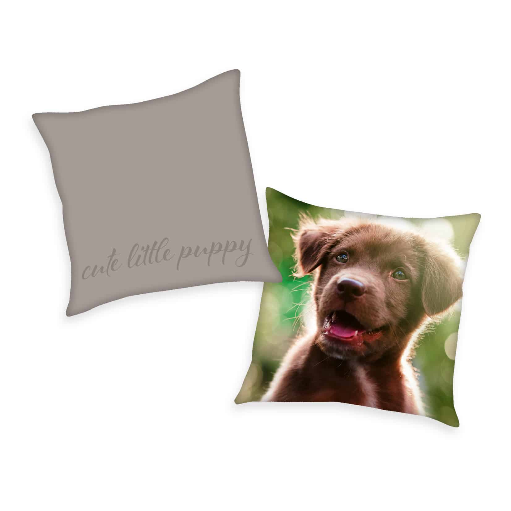 Hunde Kissen Welpe