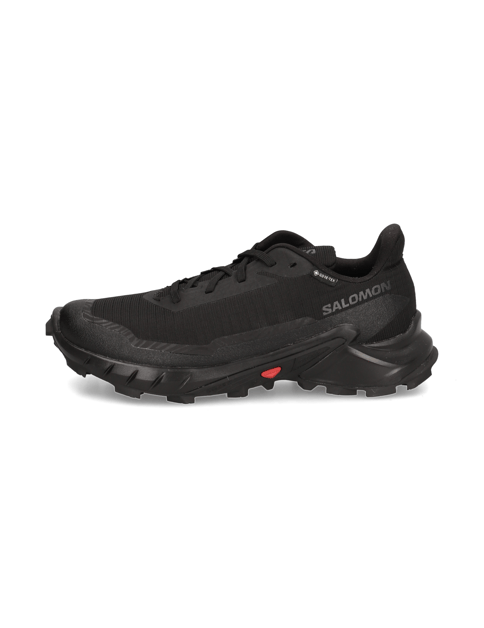 Salomon ALPHACROSS 5 GTX W