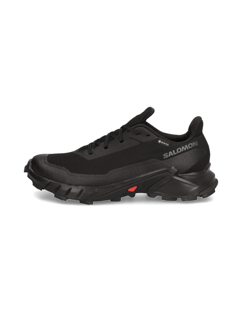 Salomon ALPHACROSS 5 GTX