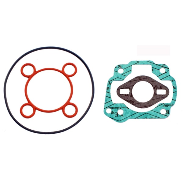 Dichtsatz RMS für Zylinder R100080050 50 ccm für MINARELLI liegend LC