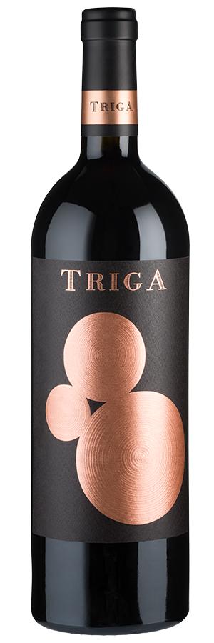 Triga (2020) - Bodegas Volver - Rotwein aus Spanien