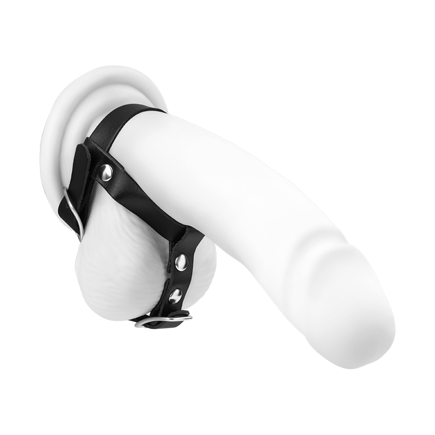 Penis- und Hodengurt aus Leder