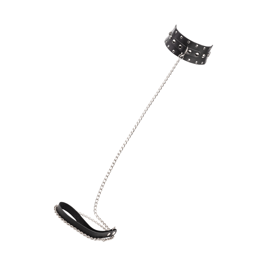 Breites Halsband mit Leine