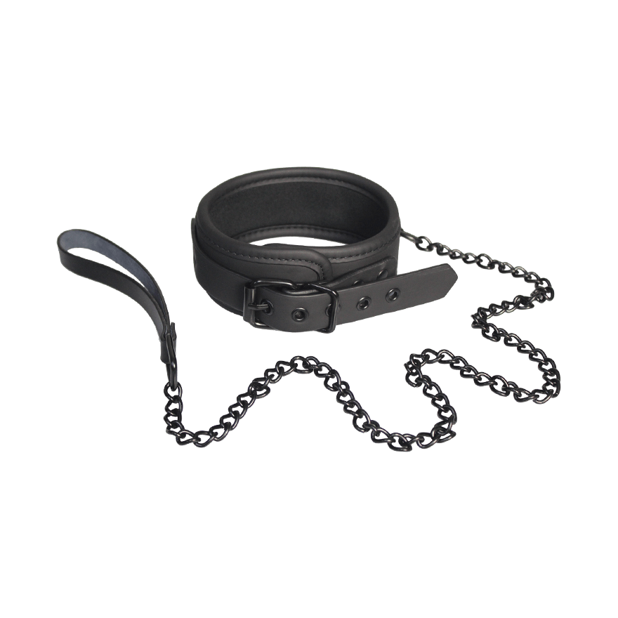 Collar and Leash
