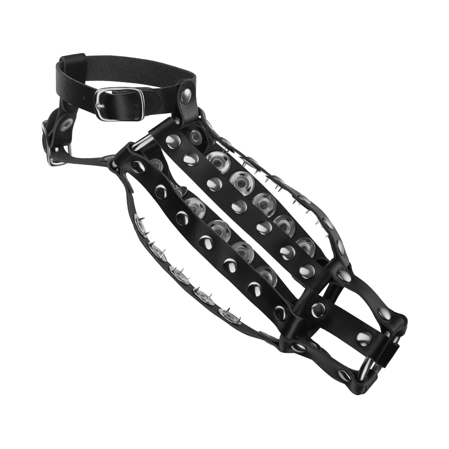 Peniskäfig mit Innendornen