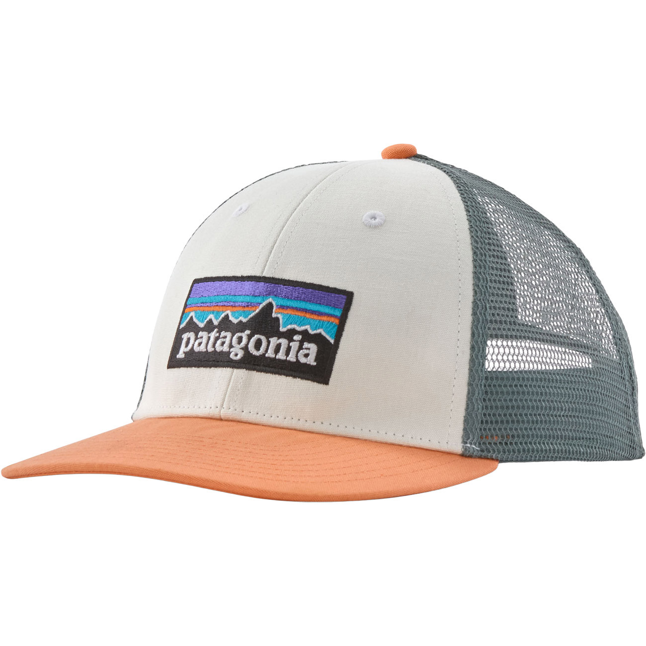 Patagonia Cap P-6 Logo LoPro Trucker Hat