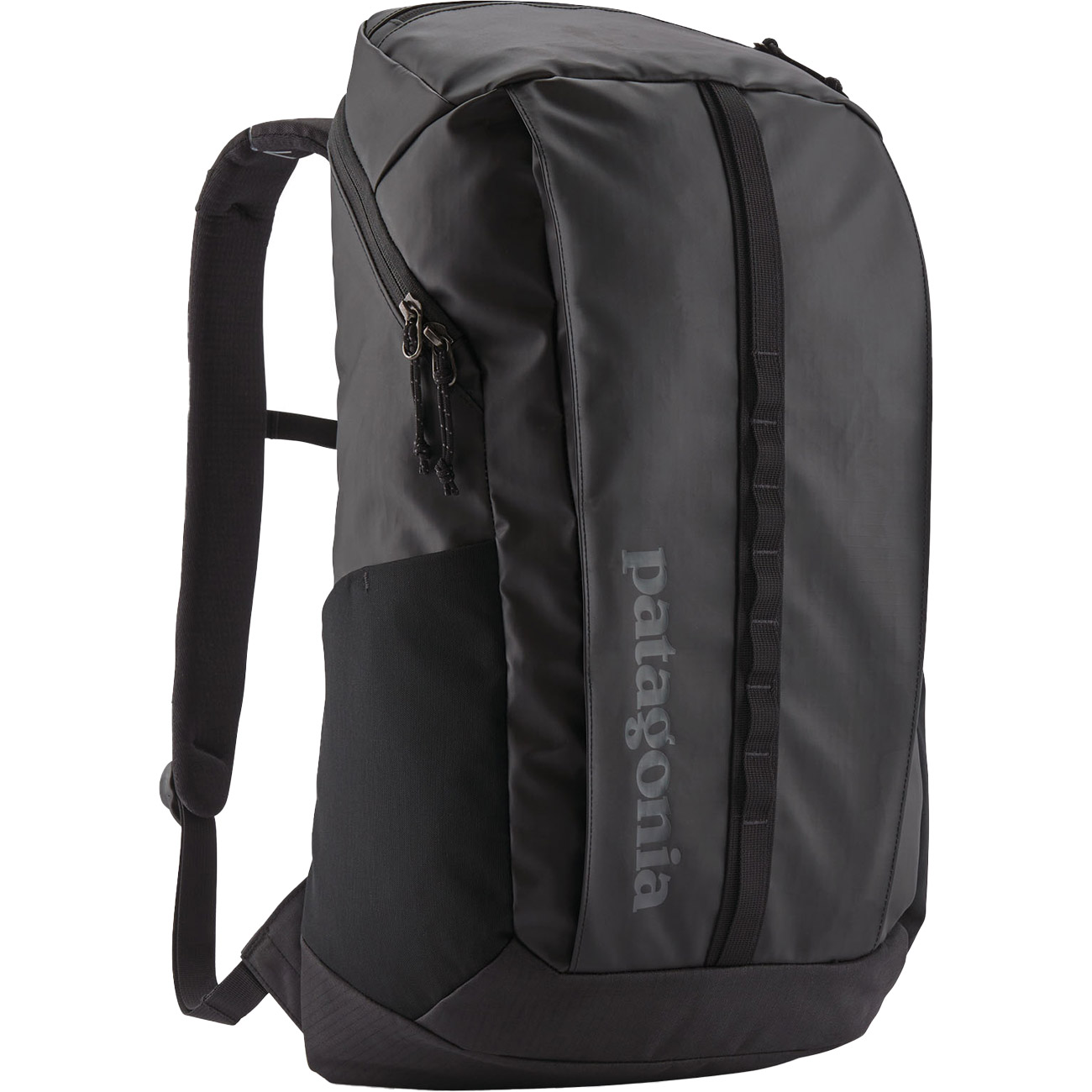 Patagonia Rucksack Black Hole Pack 25L