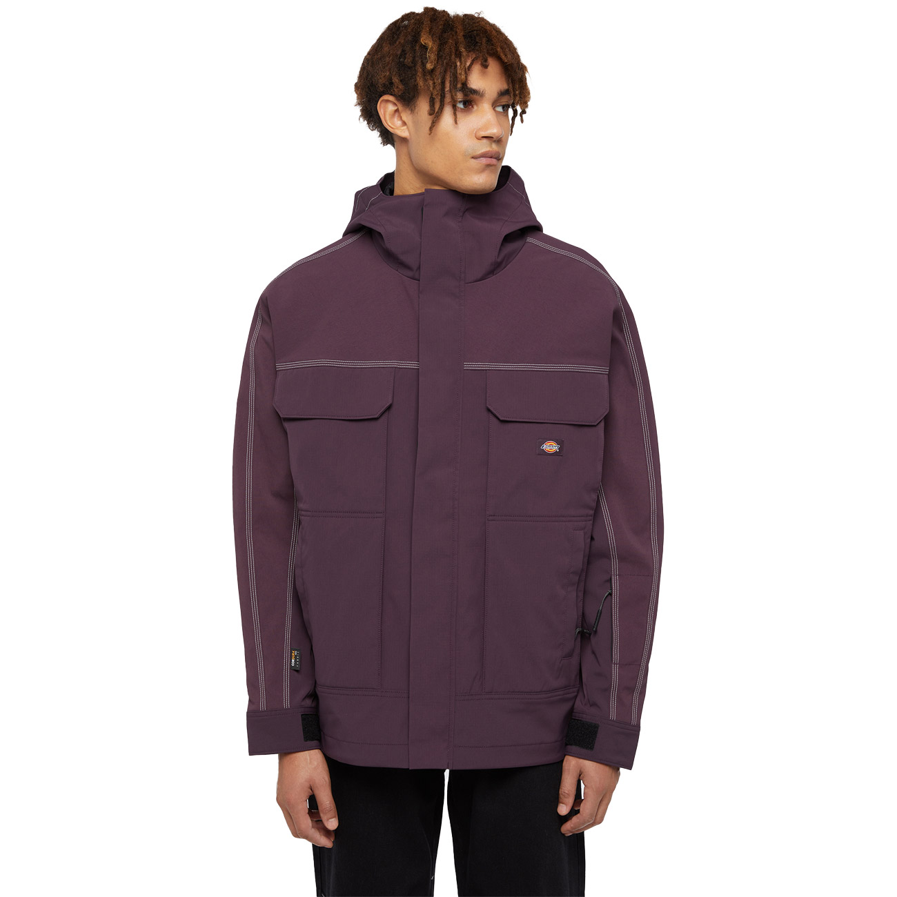 Dickies Herren Winterjacke RONAN HOODED JACKET