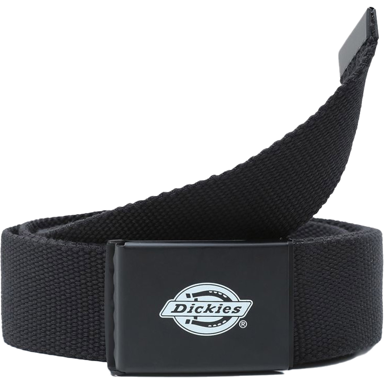 Dickies Textilgürtel ORCUTT WEBBING BELT