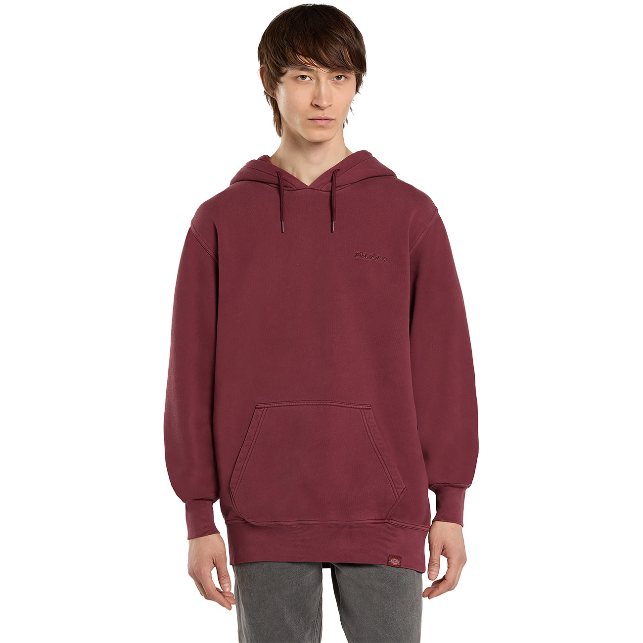 Dickies Herren Hoodie PLENTYWOOD HOODIE