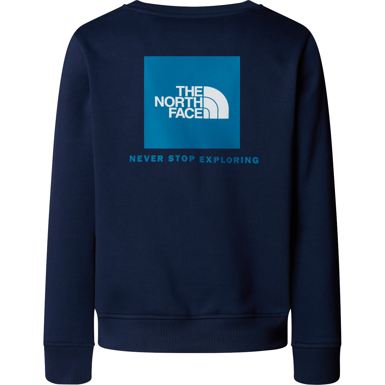 The North Face Kinder Sweatshirt TEEN BOX NSE REGULAR CREW