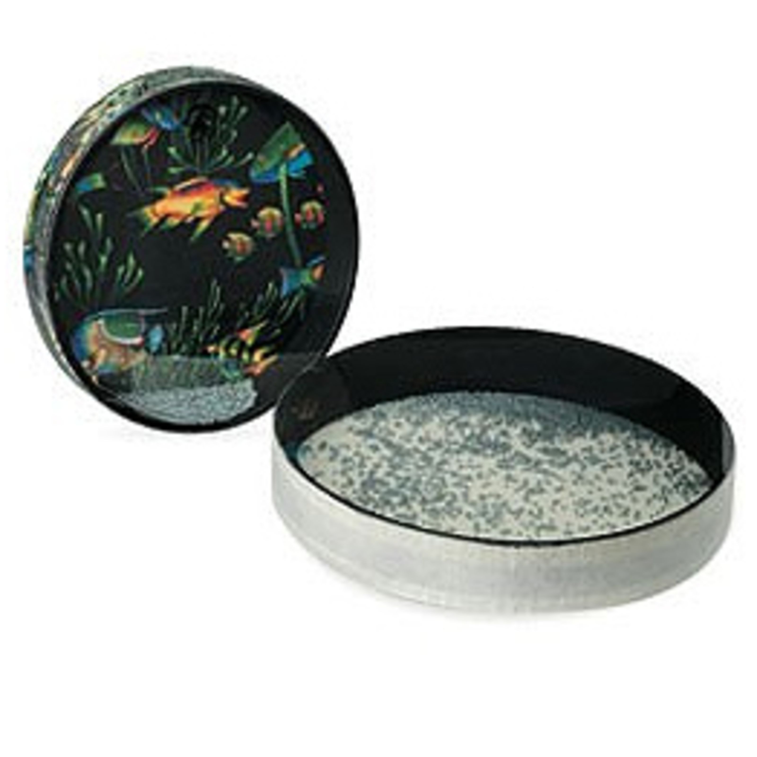 Remo Ocean Drum 22'x2,5' Aquarium Finish Ritual Percussion  Custom