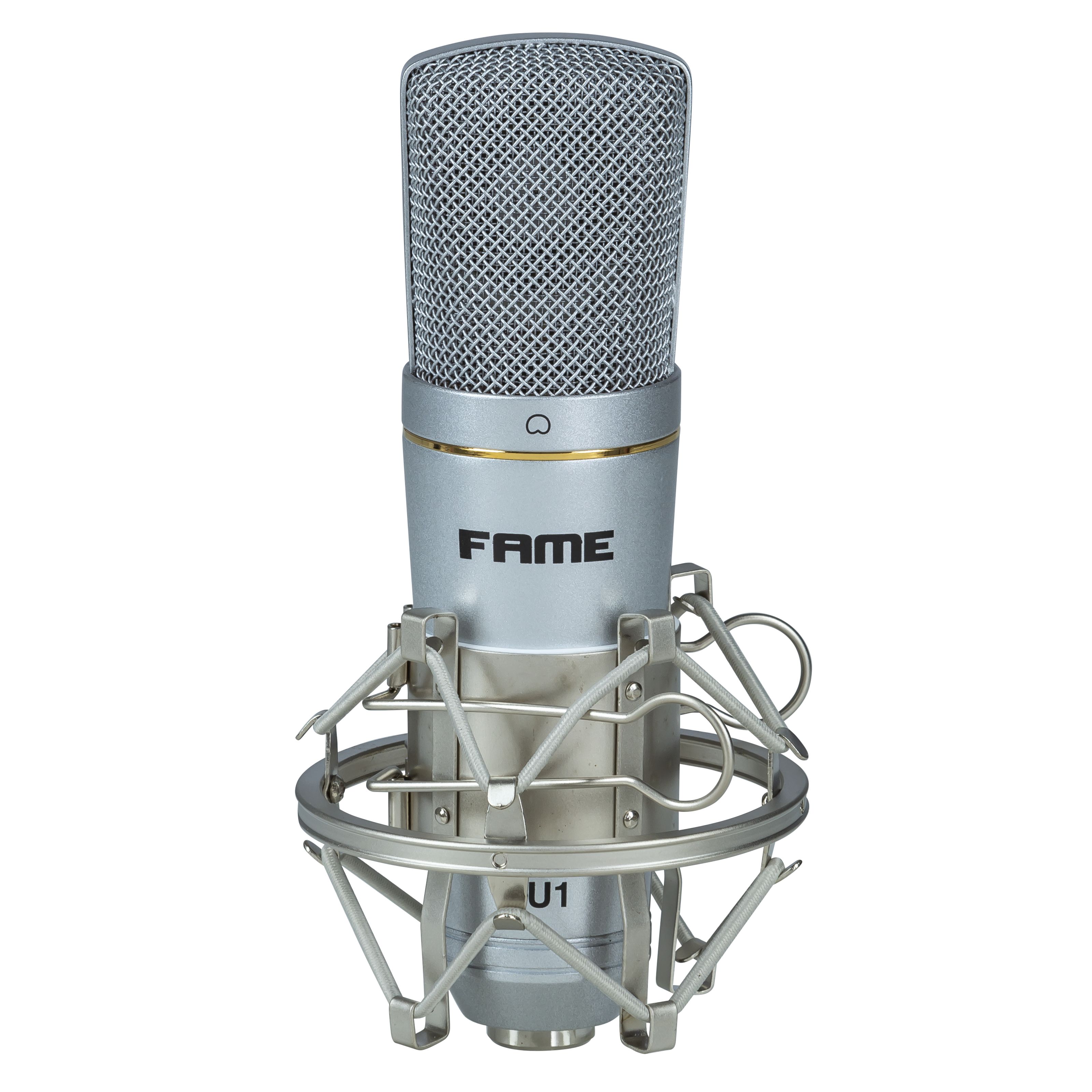 Fame Studio CU1 USB Mikrofon USB Silber