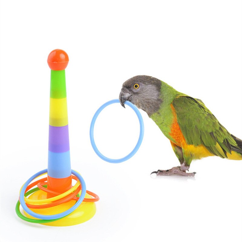 Vogel Spielzeug Aktivität Ausbildung Bunte Ringe Lustige Mini Zwinge Spielzeug für Papagei Entwicklung Interaktive Spielzeug Liefert