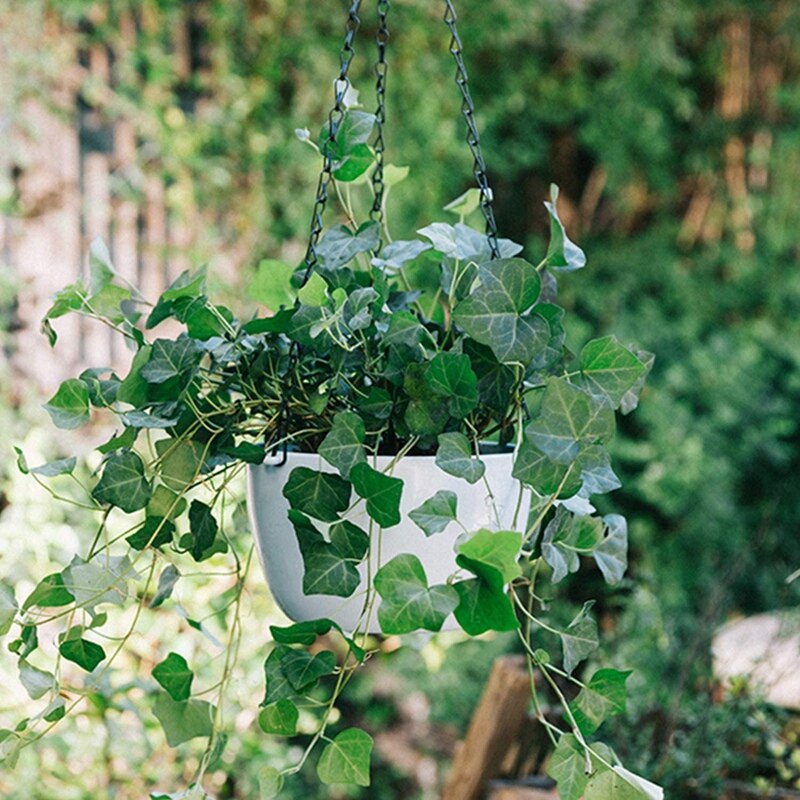 12 Pack Hängenden Kette, schwer Pflicht 50cm Hängen Blume Korb Ersatz Kette-3 Punkt Garten Pflanzen Aufhänger für Ich bin Freien oder Indoo