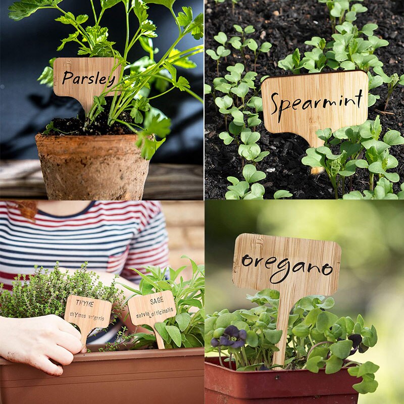 50Stck Bambus Anlage Etikett Eco Freundliche T-förmigen Holz Anlage Zeichen Samen Topf Kräuter Blume Gemüse garten Marker
