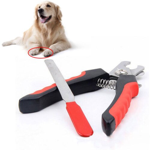 Hund Katze Welpen Haustier Pflege Schere Edelstahl Nagel Haarschneidemaschine Ebene Nagel Schere Nagel Cutter & Nagel Datei
