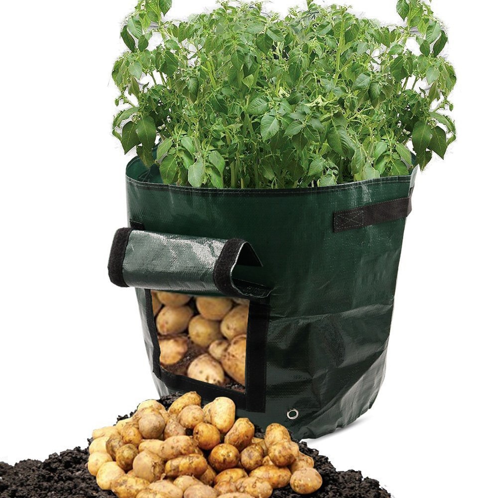 DIY Kartoffel Wachsen Pflanzer PE Tuch Pflanzen Container Tasche Verdicken Topf Kartoffel pflanzung tasche tomaten Juwelüse anlage wachsenden tasche #30