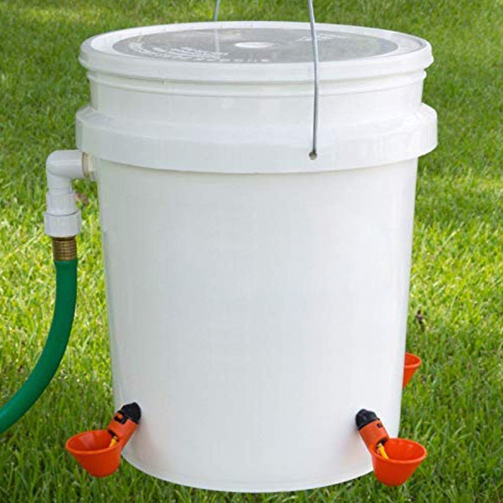12Stck Futter Automatische Vogel Koop GeflüGel Huhn GeflüGel Trinker Wasser Trinken Tassen Vieh Trinken Tasse Fütterung Bewässerung Werkzeuge Q4
