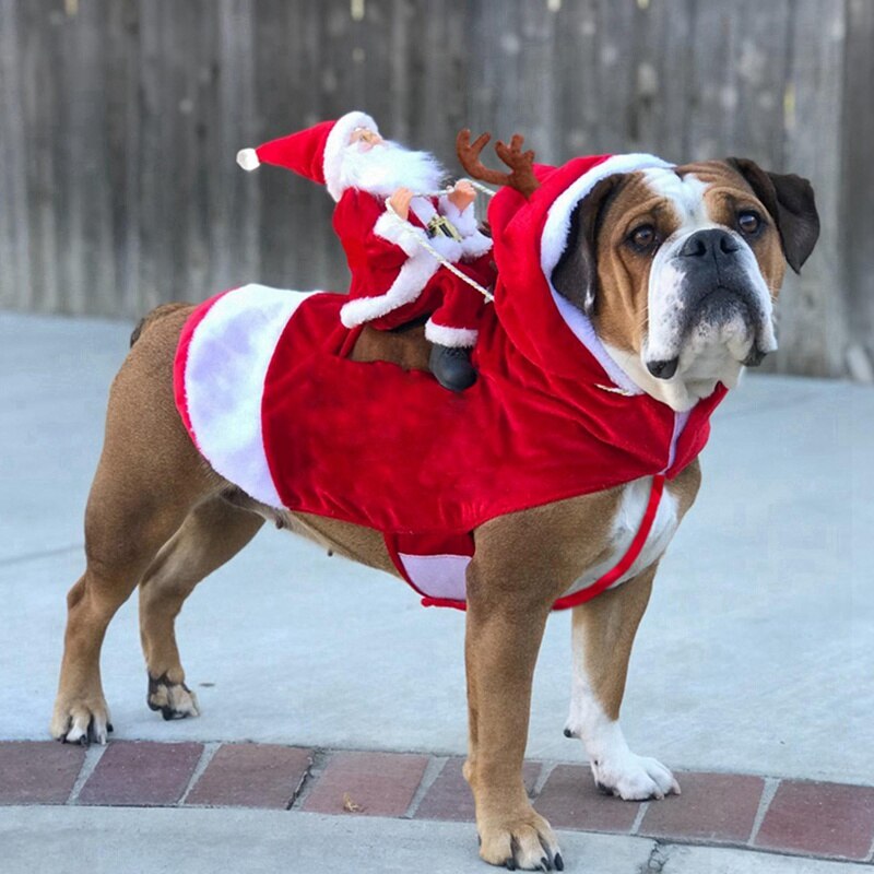 Weihnachten Hunde Santa Cosplay Outfit Für Weihnachten Karneval Haustier Kostümich Bekleidung Party Dressing hoch Kleidung Haustier Weihnachten Kostüm