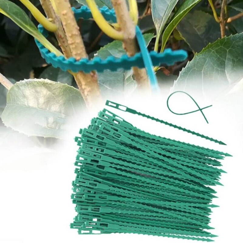 10 teile/los Gartenarbeit Helfer Multi-verwenden Wiederverwendbare Krawatten Für Klettern Einfach flexibel Kunststoff Pflanze Kabel Krawatten Anlage