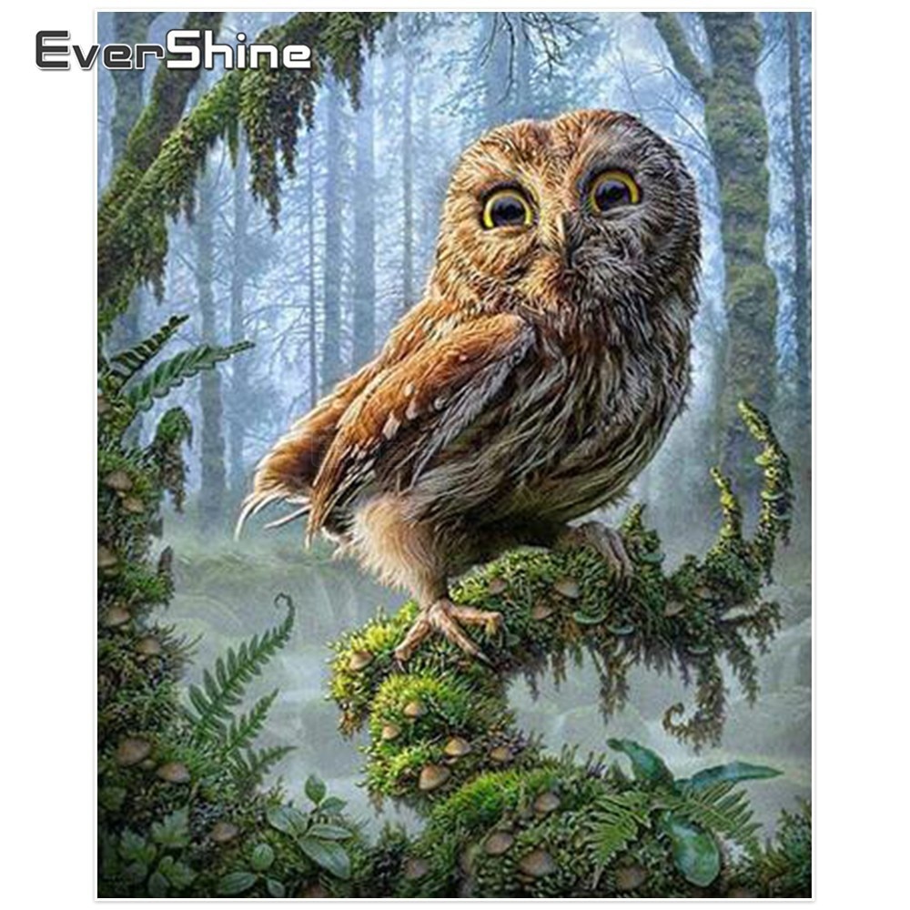 EverShine 5D DIY Diamant Mosaik Eule Handgemachte Diamant Malerei Tiere Kreuz Stich Diamant Stickerei Volle Anzeige Zauberstab Dekor