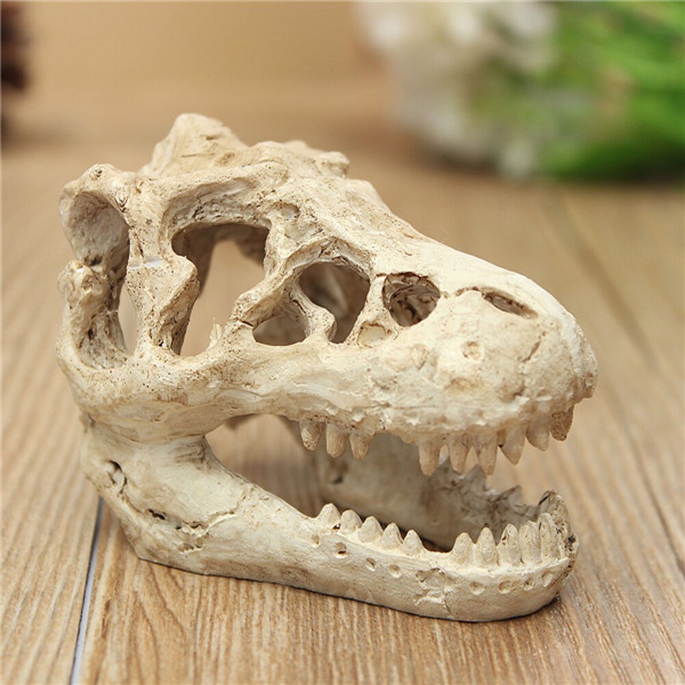 1 Stck Drachen Harz Aquarium/Terrarium Dekoration Krokodil Schädel Für Aquarium Harz Ornament Schmücken Ihre Aquarium