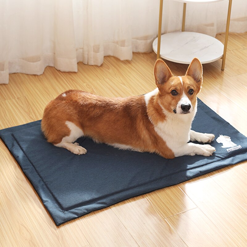 Nicht-Unterhose Haustier matt Anti-Biss Wasserdicht Hund Matten Waschbar Hund Ebene Bett Gebaut in Weiche PBT Schwamm wiederverwendbare Katze Welpen Urin Pads