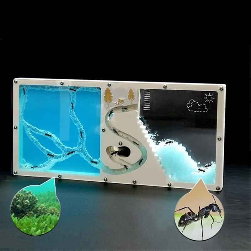 Freies natürliche ungiftig freundlicher anlage schlamm große raum einfach zu sehen Ameise haus Ameise Nest bauernhof