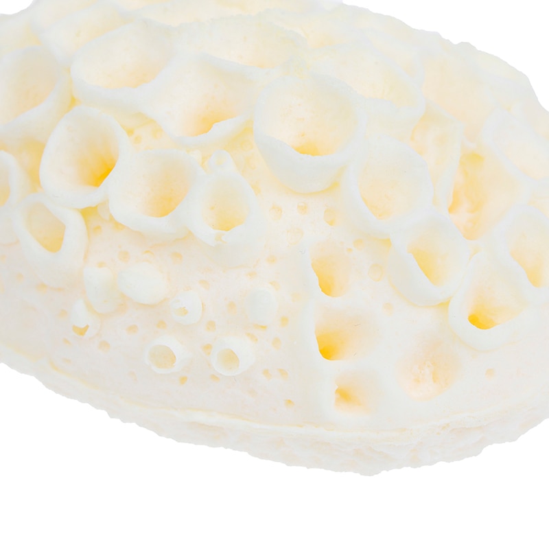 Natürliche Meer Wolle Schwamm tot Haut Entferner Peeling Massagegerät Dusche Hocker Reinigung Dusche Pinsel Schaum Körper Gesichts Waschen Schwamm