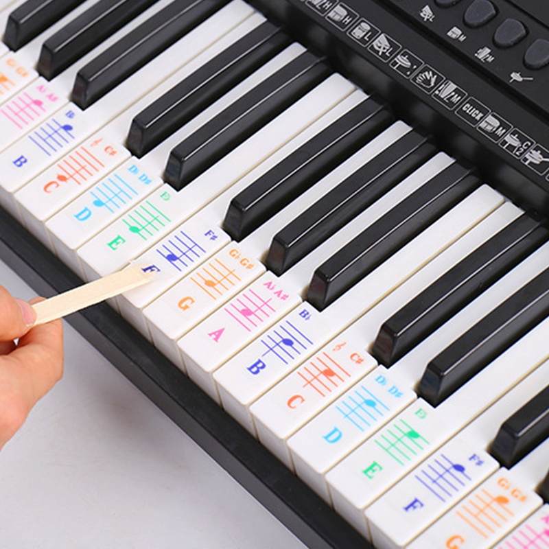Zebra Bunte Klavier Tastatur Hinweis transparent Aufkleber für 61/88 schlüssel Elektronische Klavier Tastatur Weißen Tasten Klavier Lernenden praxis