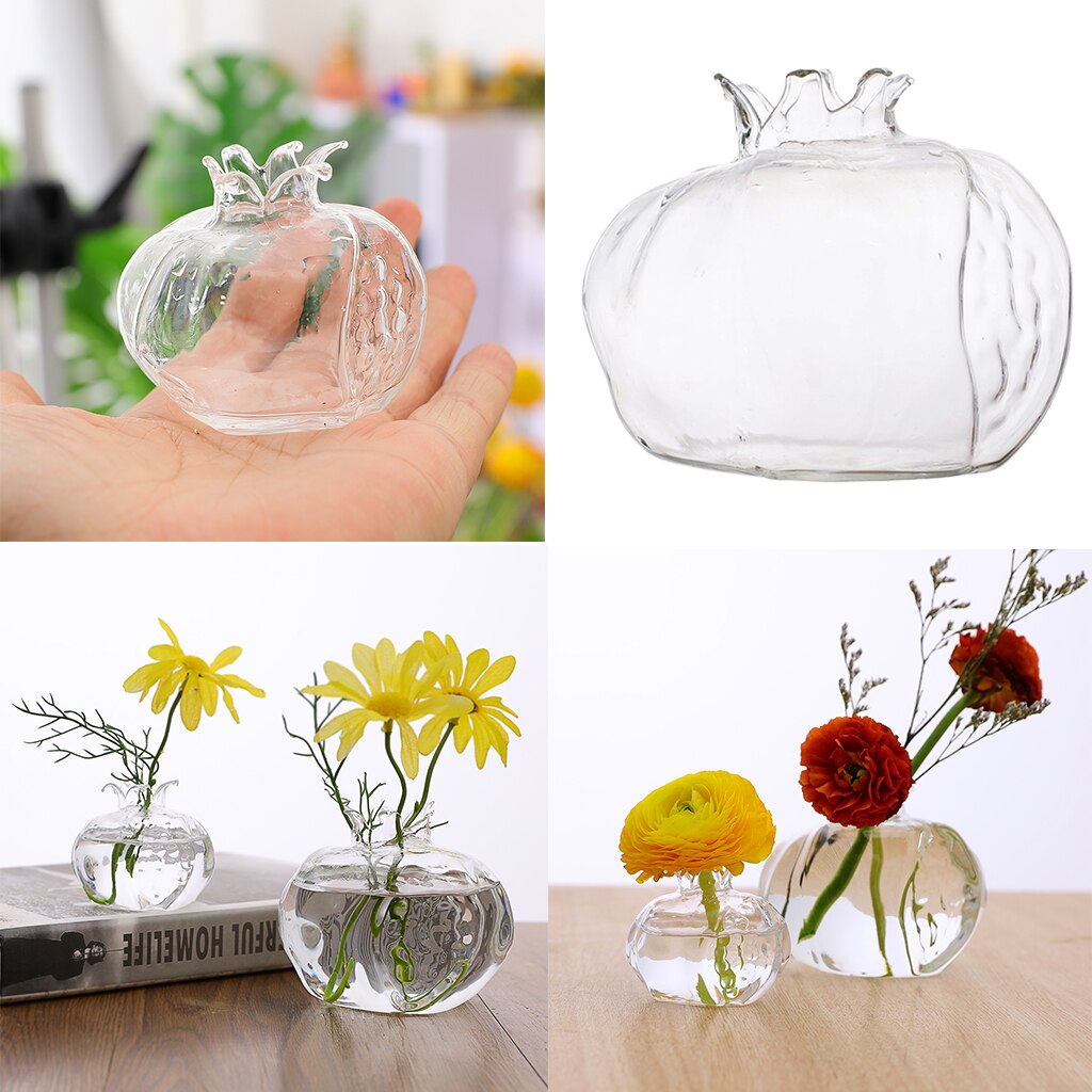 Kleine Granatapfel bilden Klar Glas Vase Blume Pflanzen Terrarium Vase Container