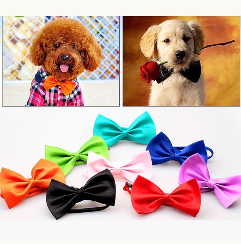 1Stck Haustier Hund Fliege Katze Krawatte Einstellbare Welpen Kätzchen Kragen Bowknot Formale Krawatte Partei Phantasie Krawatte Für Haustier hochzeit Geburtstag