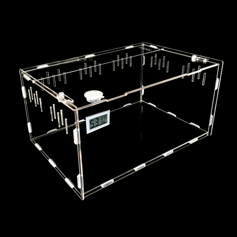transparent 30*20*15cm Reptil Terrarium Klettern sterben Kasten Tragbare Insekten Hause Dekoration Haustier Liefert dauerhaft Praktische